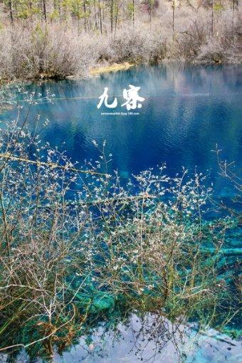 扬科维奇：世上只有已经下课和等待下课的教练